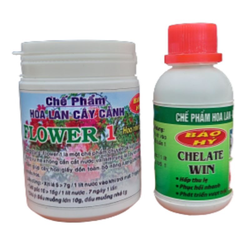 🌹Cặp Đôi Siêu Kích Hoa Flower 1 & Chelate Win Báo Hỷ