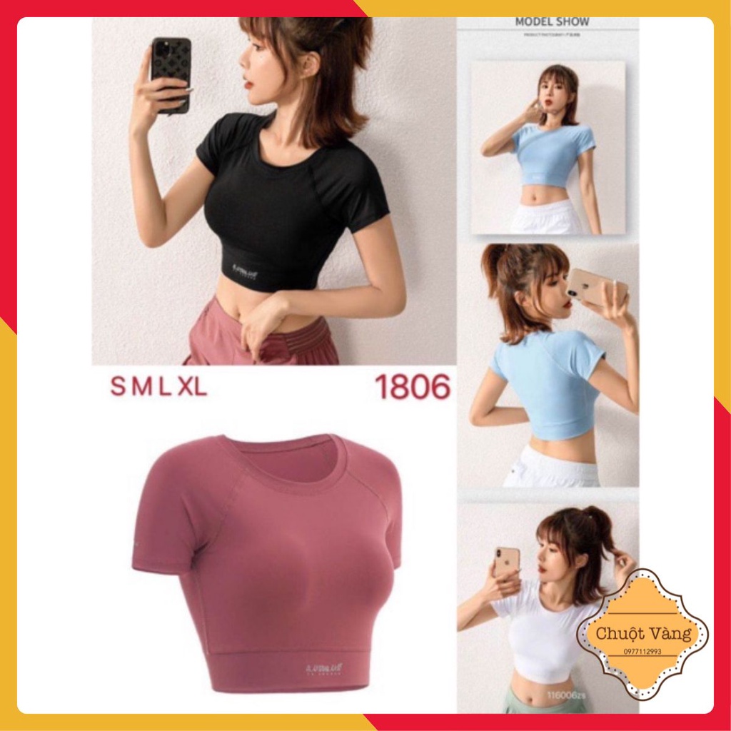 Áo tập thể thao croptop 1806