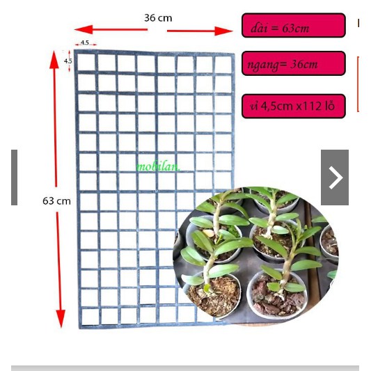 Khay (vỉ) trồng lan cấy mô 112 ô