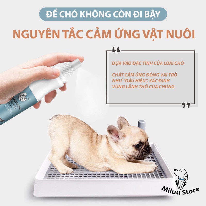 Xịt hướng dẫn cho chó mèo đi vệ sinh dung tích lớn giúp tập thói quen đi vệ sinh đúng chỗ cho thú cưng