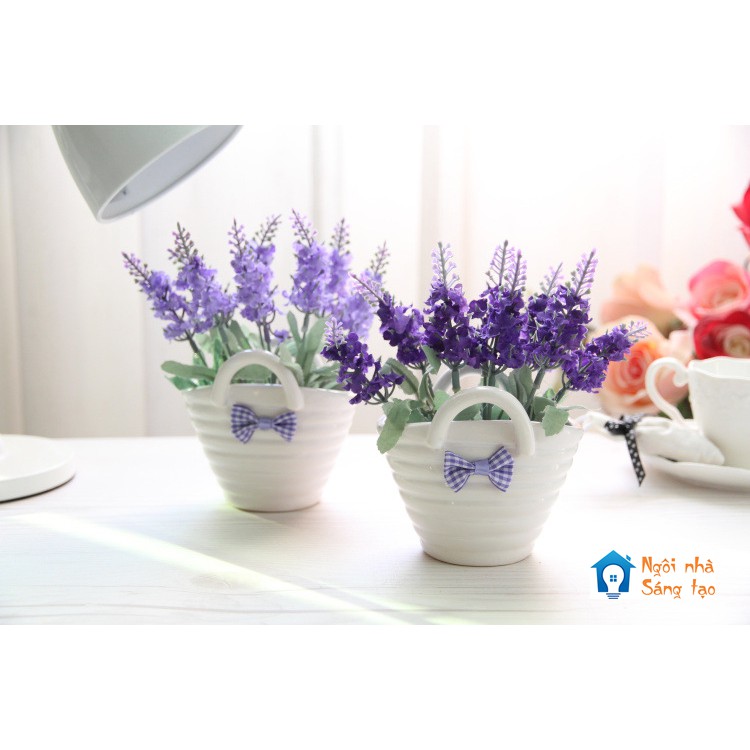 Chậu hoa Lavender giỏ xách