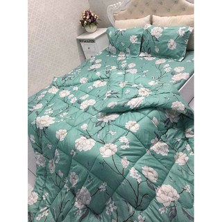 Chăn phao siêu nhẹ poly cao cấp