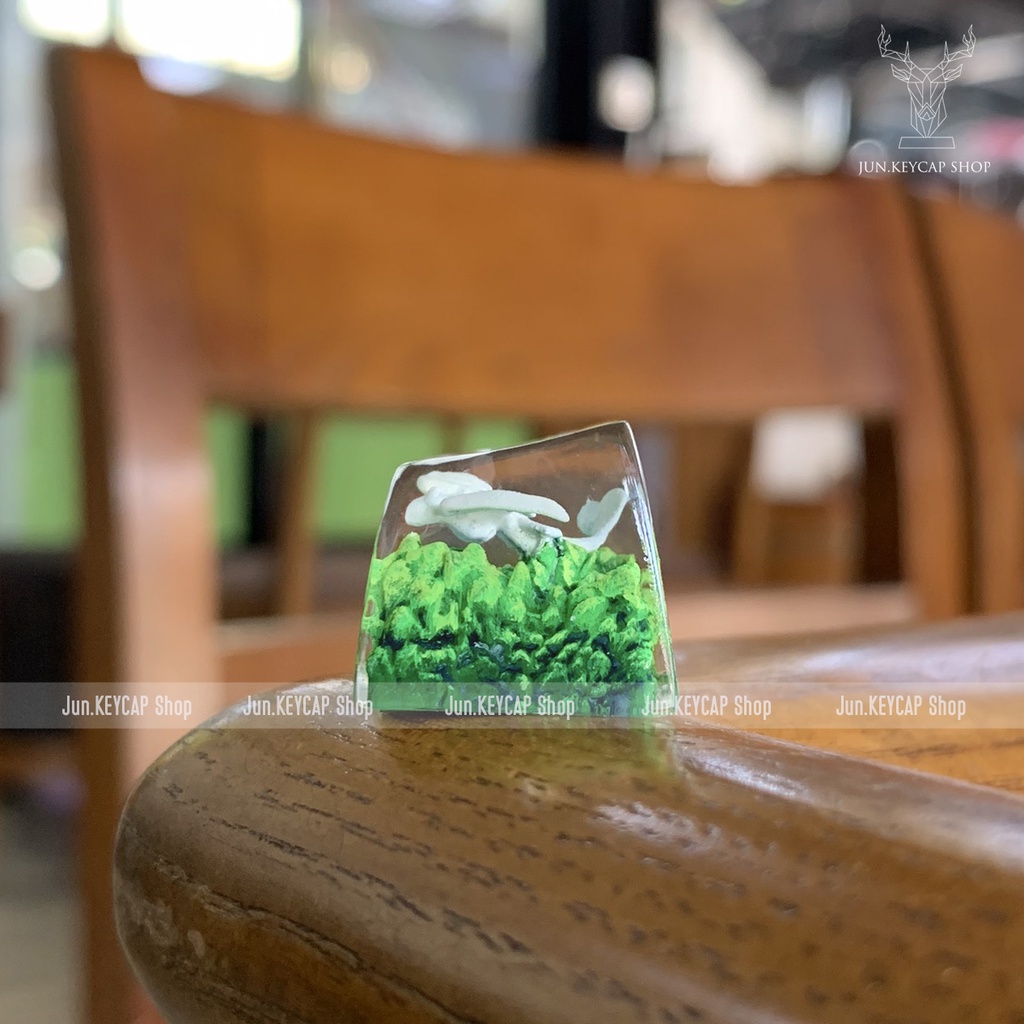 Keycap Resin Răng Sún - Nút Bàn Phím Cơ Răng Sún - Keycap Hoạt Hình Bí Kiếp Luyện Rồng