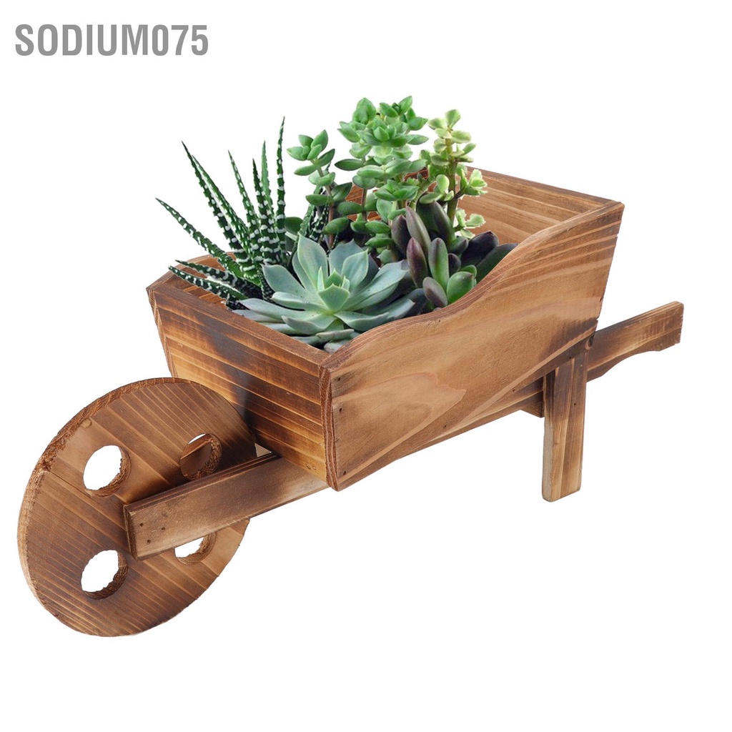 Có thể bán buôn Chậu hoa Xe đẩy bằng gỗ Cải tiến Succulent Măng tô để trang trí nhà ở sân trong Hàng giao ngaySodium075