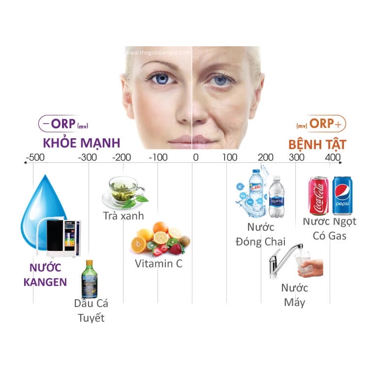 Máy Lọc Nước Điện Giải Ion Kiềm Enagic LEVELUK SD501 - Kangen Water