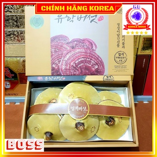 Nấm Linh Chi Hàn Quốc Hộp Quà Thượng Hạng, Nấm Hộp Vàng Chanh 1kg
