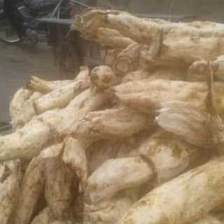 1kg Bột sắn dây