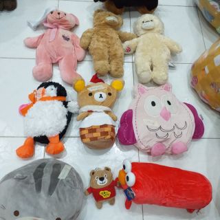 Gấu bông kope