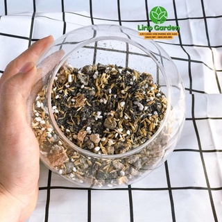 Đất trồng cây sen đá
