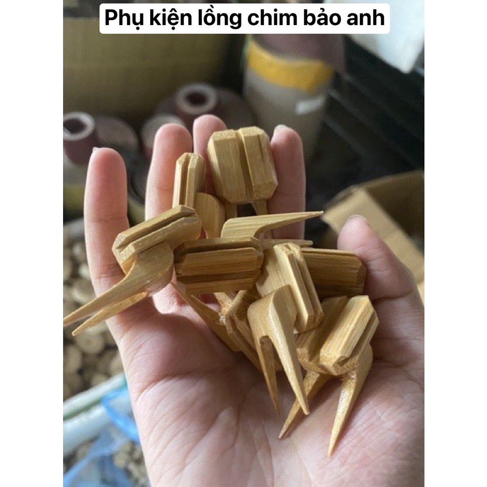 Xiên Hoa Quả, Xiên Chuối Tre Đẹp Cho Chim Chào Mào
