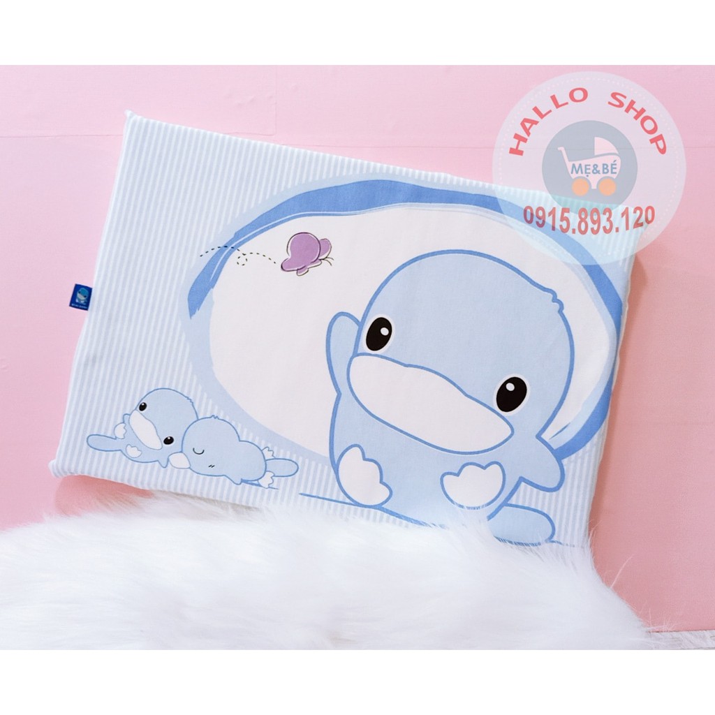 Gối cao su KUKU 2047