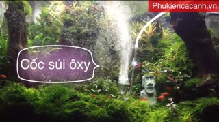 Cốc sủi oxi siêu mịn