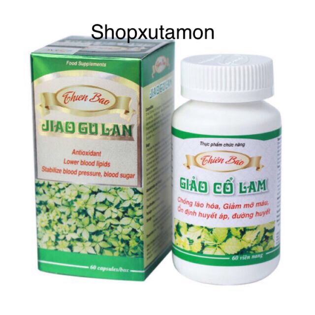 Giảo cổ lam Thiên Bảo hộp 60 viên | BigBuy360 - bigbuy360.vn