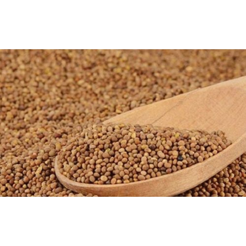 THỎ TY TỬ loại 1