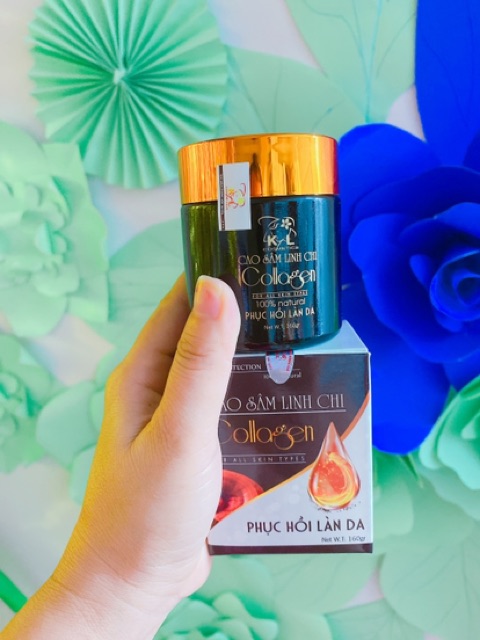 5 hop Cao sâm linh chi