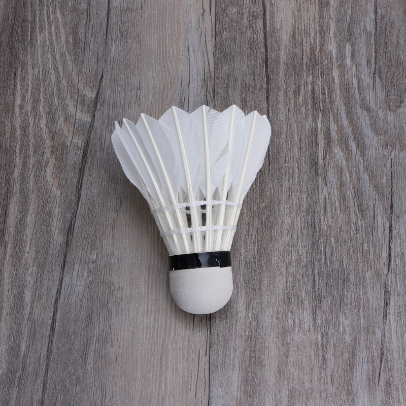 QQ Set 4 Quả Cầu Lông Gắn Đèn LED Nhiều Màu Sắc