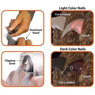 Kiềm cắt móng cún mèo có đèn led