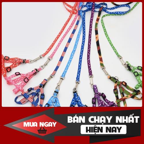 [FREESHIP] Dây dắt chó mèo ( phát màu ngẫu nhiên)