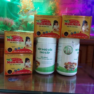 Combo ngũ cốc lợi sữa an an
