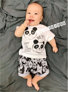 Bộ zara gấu
