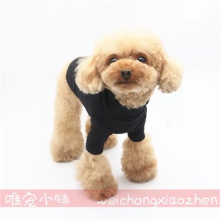 Áo thun cổ lọ cho thú cưng