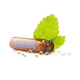 Viên Ngậm Tinh Dầu Bạc Hà Tinh 125v - doTERRA Peppermint Beadlet
