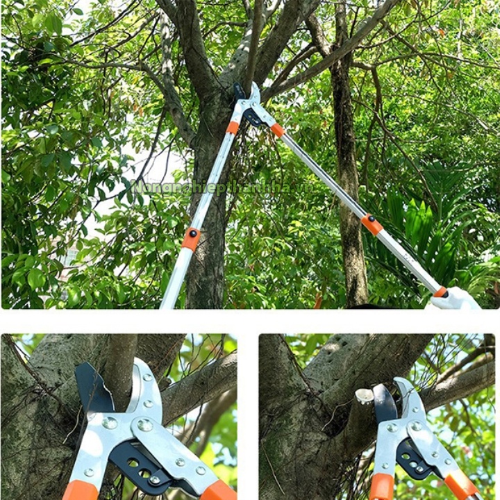 Kéo cộng lực cắt tỉa hàng rào 1m - K69