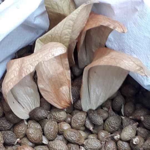 Hạt ươi bay loại 1 ( 500 g)