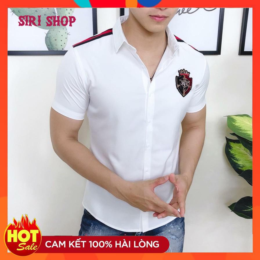 _Giá Sốc_ Áo Sơ Mi Nam Ngắn Tay Phối Logo Thời Trang Hàn Quốc, Chất Vải Không Nhăn, Không Xù 5STAR _Siri Shop