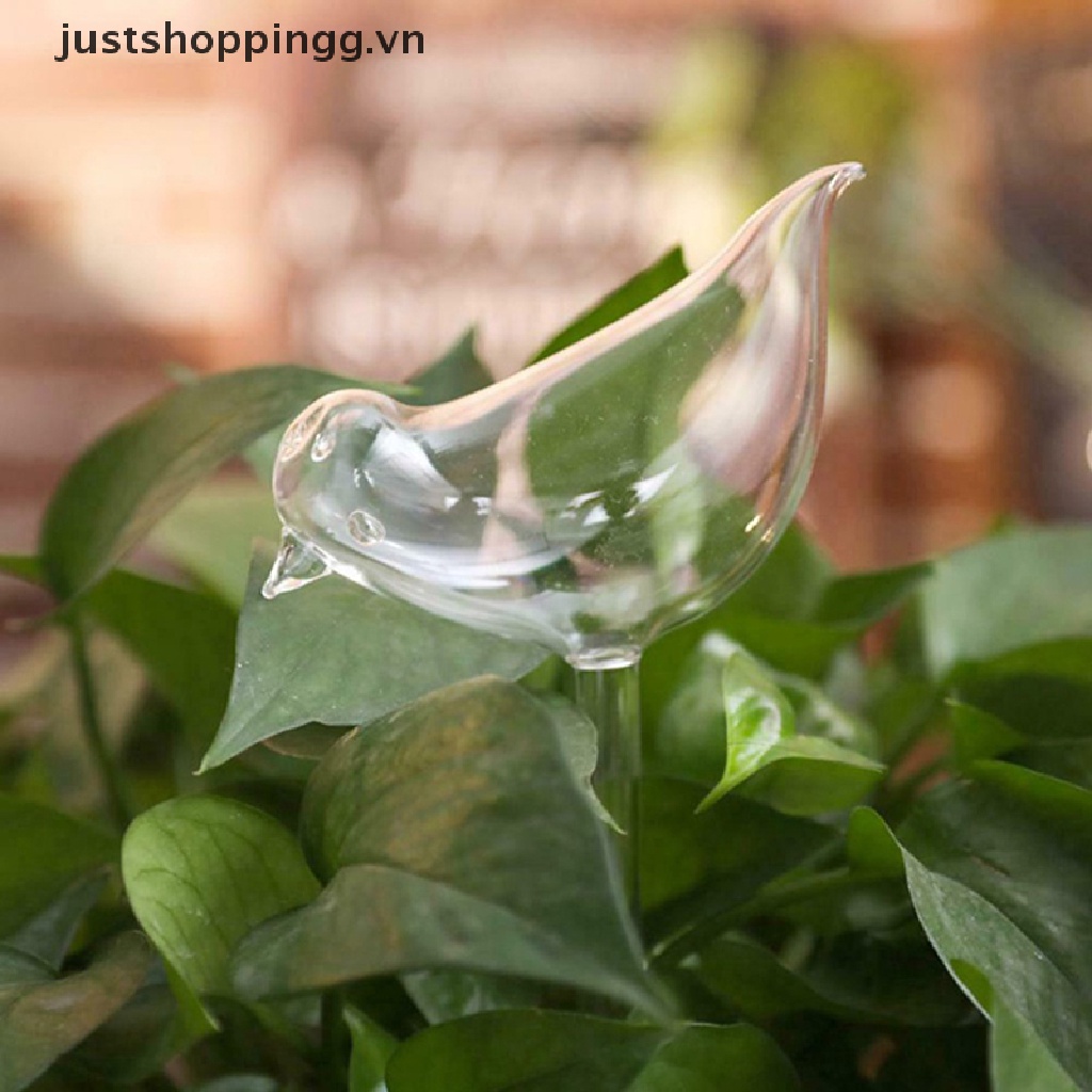 Bình Tưới Nước Tự Động Trong Suốt Hình Con Chim