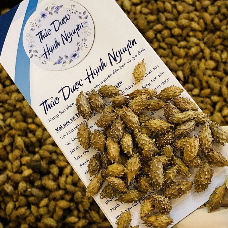 500g ké đầu ngựa