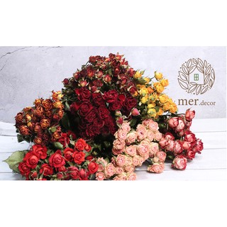 HOA HỒNG KHÔ VĨNH CỬA - HOA HỒNG TỈ MUỘI SẤY KHÔ TRANG TRÍ