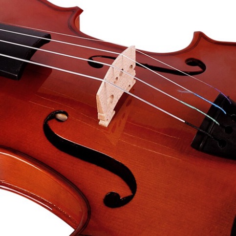 Đàn violin kapok V182 giá rẻ