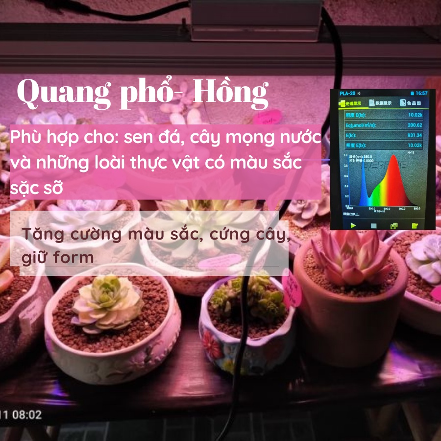 Đèn LED kích thích cây trồng phát triển mạnh MT900 LED 100WI, Đèn quang hợp cho cây trồng trong nhà