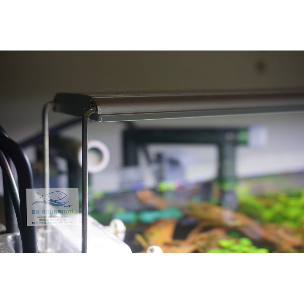 Đèn Led Odyssea A1 Pro