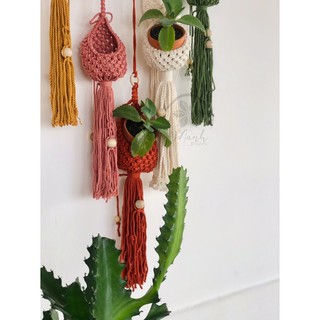 Mành Kén treo cây Macrame (Hình chụp thật)