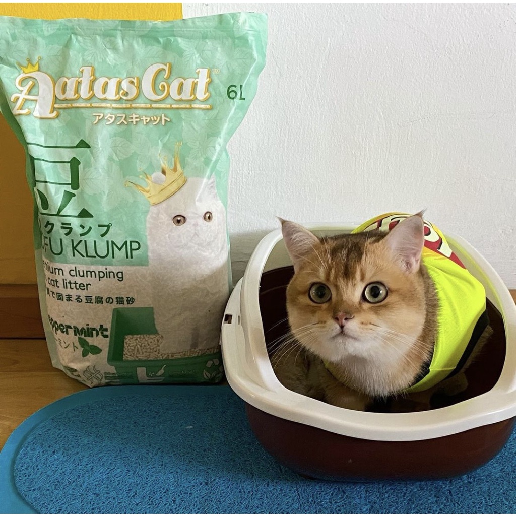 Cát vệ sịnh cho mèo TOFU AATAS 6L