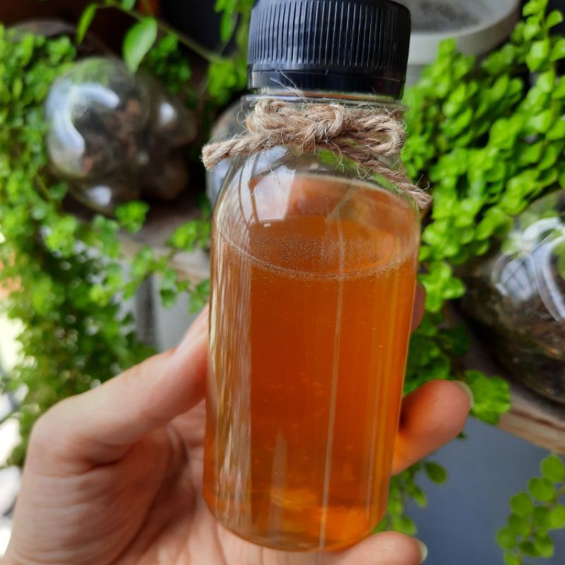 100ml mật ong nguyên chất DakLak