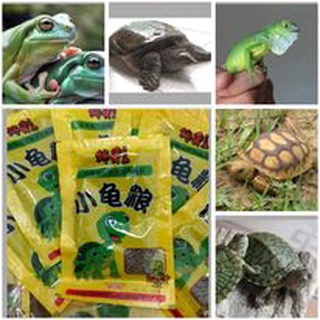 Cám nuôi rùa, ếch cảnh, baba, rồng nam mỹ... thức ăn cho bò sát