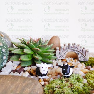 Phụ kiện trang trí tiểu cảnh Terrarium - Cừu vui vẻ ngộ nghĩnh
