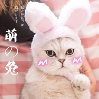 Mũ Tai Thỏ Dễ Thương Cho Thú Cưng