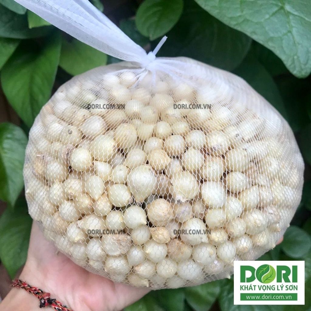 Củ nén hành tăm - Dori Thơm - 250g 500g 1kg - Gia vị Việt Nam