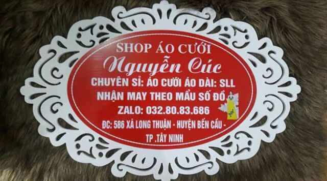 Váy cưới mặc đãi  tiệc nhẹ nhàn màu trắng