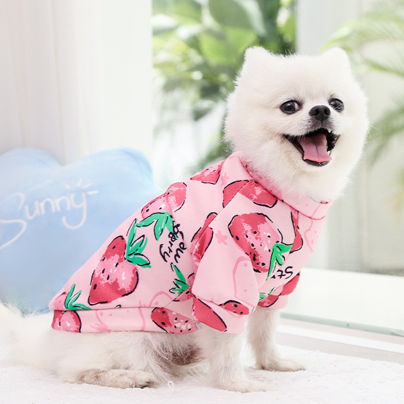 ÁO NỈ CHO CÚN MÈO HỌA TIẾT ĐÁNG YÊU LƯU Ý GHI SIZE CHO SHOP - Lida Pet Shop