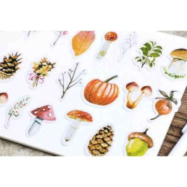 Bộ 46 Sticker Cây Nấm Hàn Quốc dán trang trí E59