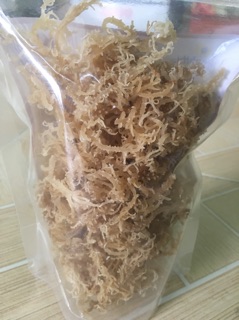 rong sụn gai khô