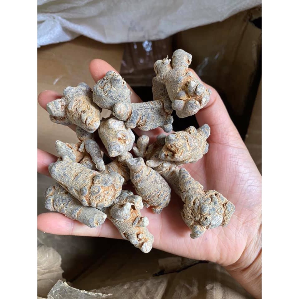 Củ Tam Thất Bắc Khô 100Gram ❤️FREESHIP❤️ / Củ Tam Thất Bắc Khô Size 5 Củ/ Lạng [LÂU NĂM] Giá Tốt