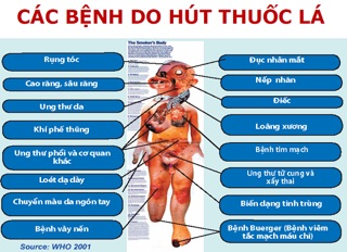Cai thuốc lá THANH NGHỊ