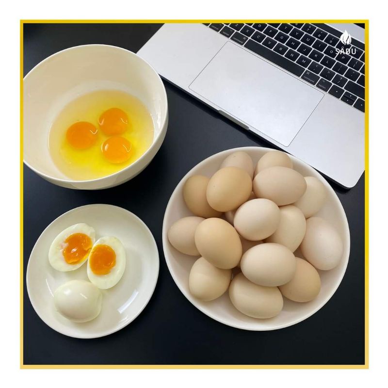 Trứng gà tươi SADU nuôi Organic, trứng gà không béo, thơm ngon, 12 quả 1 hộp