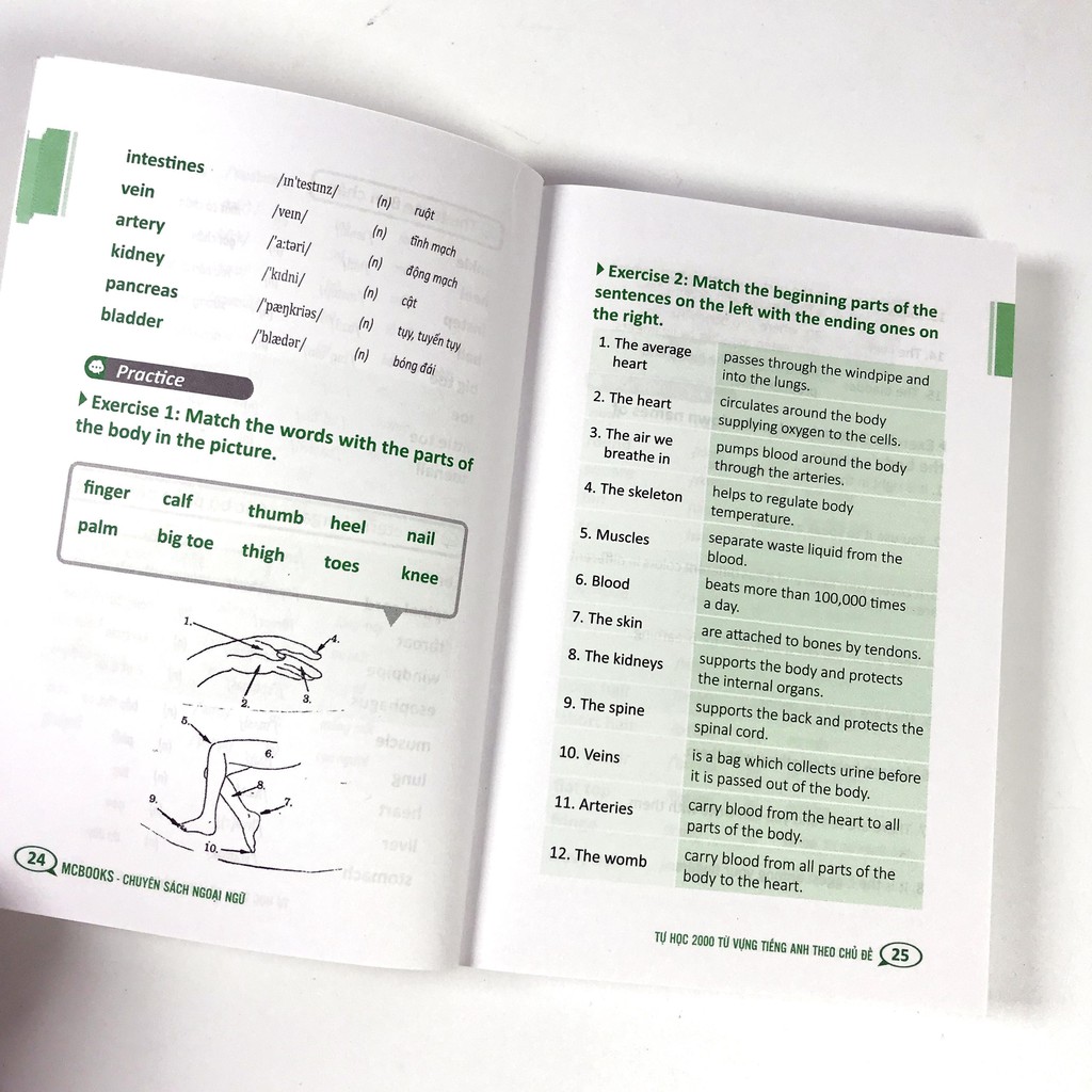 [Mã LIFE2410K giảm 10K đơn 20K] Sách - Tự học 2000 Từ Vựng Tiếng Anh Theo Chủ Đề | BigBuy360 - bigbuy360.vn